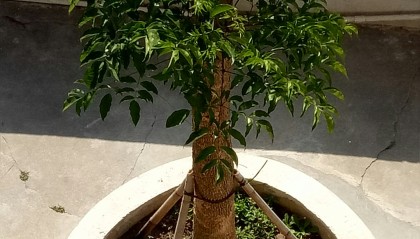 悟空体育app下载-包含5苨洠R?8搙J?蒂紈/舒}*??zEgpj鈭?r扥?樹=的词条